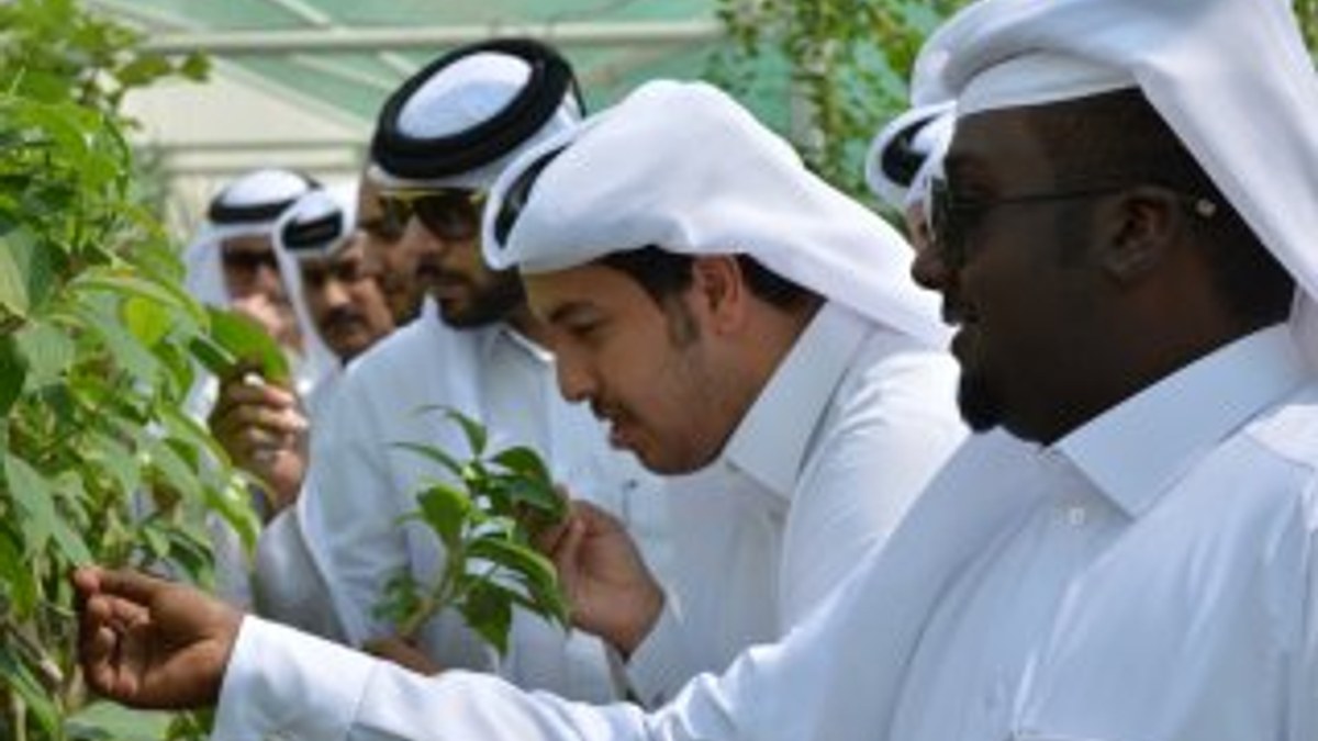 Katar'da Kur'an Botanik Bahçesi kuruldu