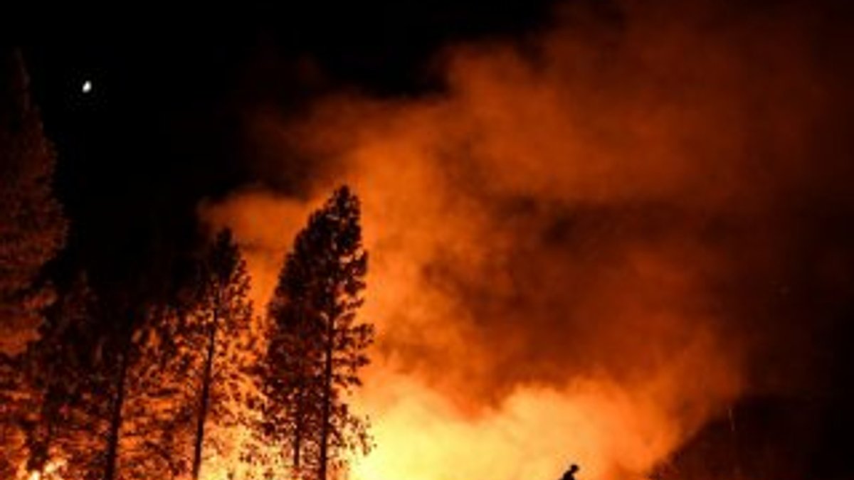 Kaliforniya'daki yangınlarda ölü sayısı 74'e yükseldi