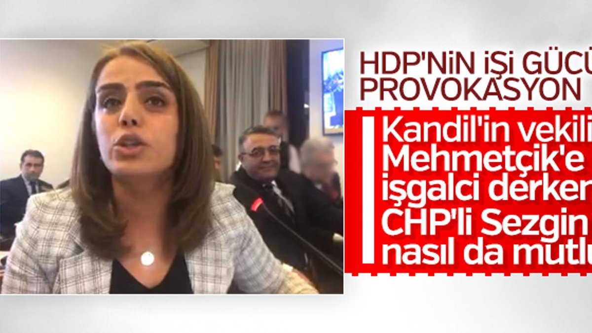 HDP'li Ayşe Acar Başaran'dan Meclis'te küstah sözler