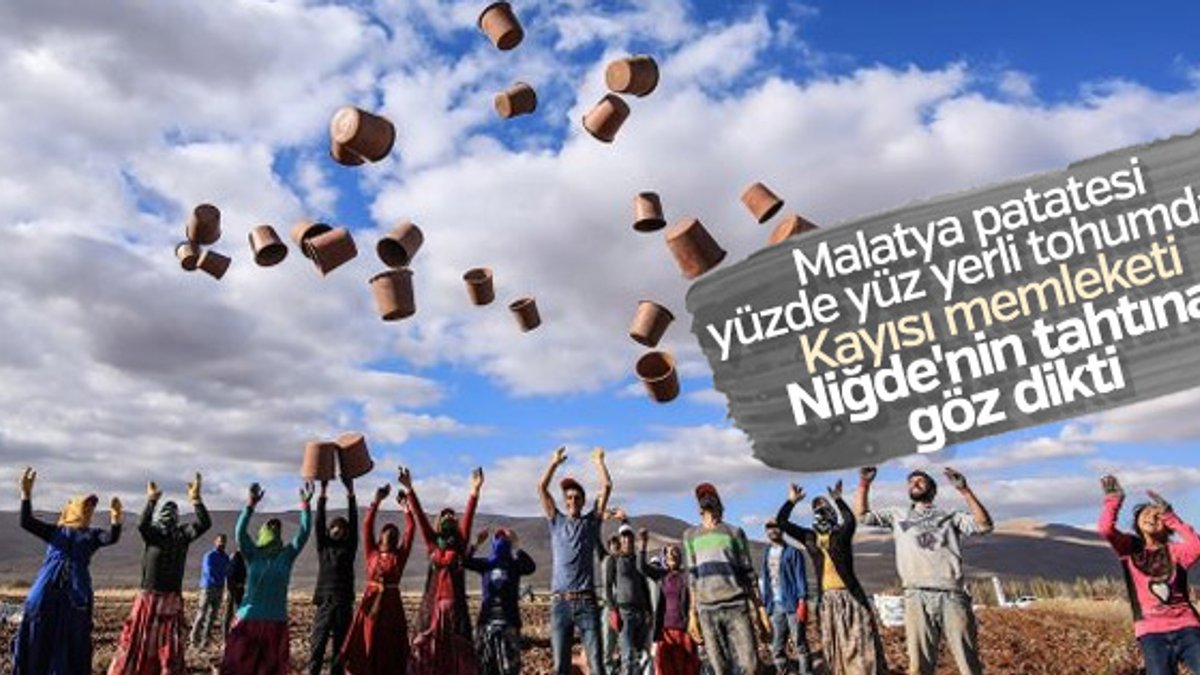 Malatya'da 3 yerli ve milli tohumun ekimi yapıldı