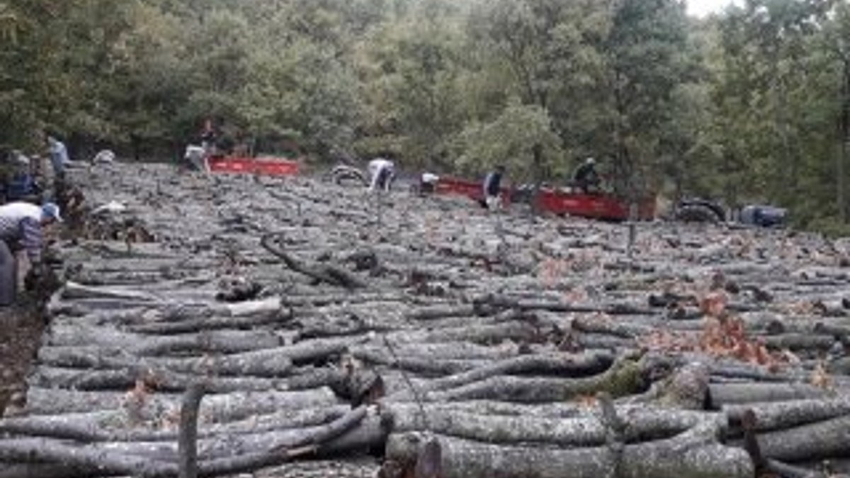 Orman köylüsüne 2 milyar 140 milyon liralık destek