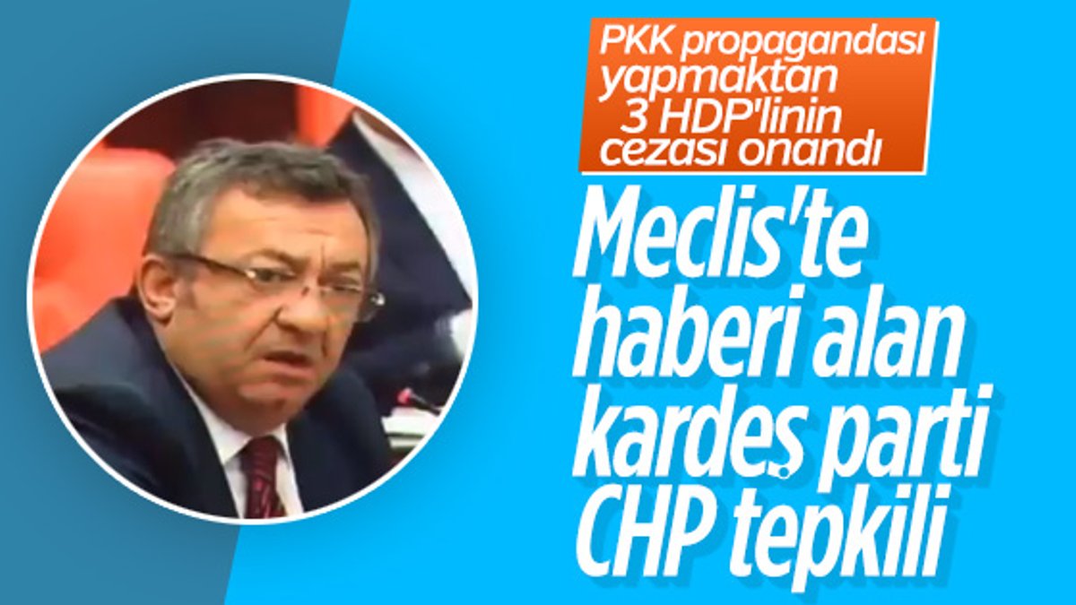 CHP'nin cezası onanan HDP'lilere üzüntüsü
