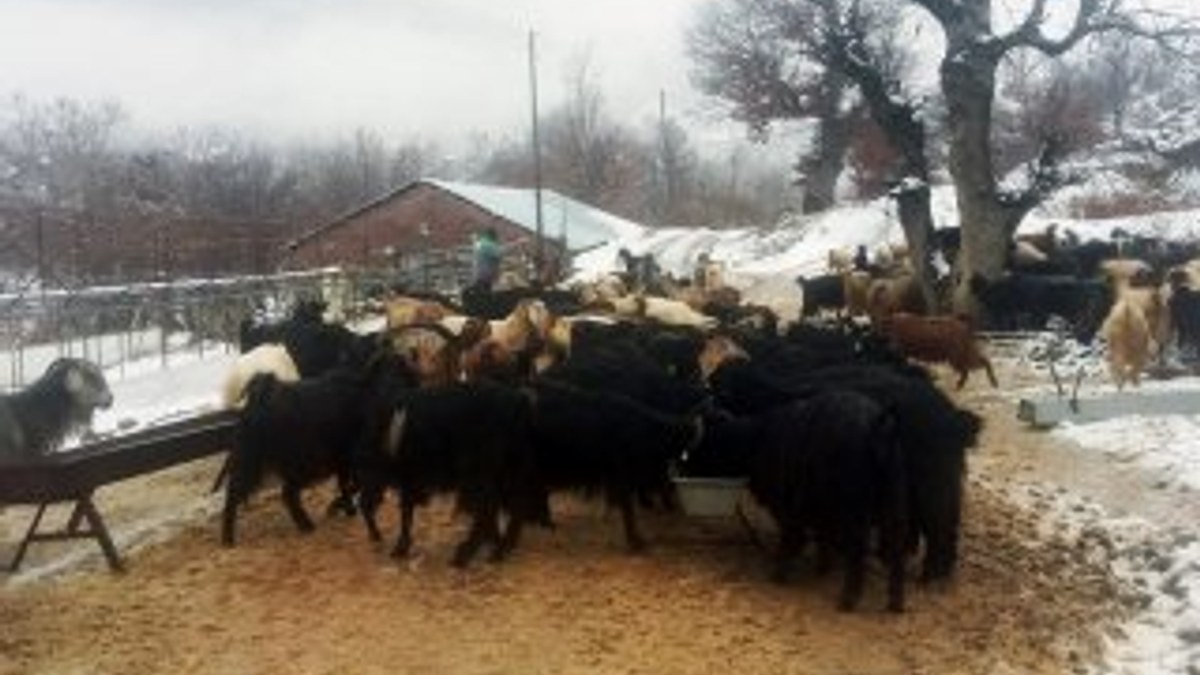 Antalya'da kar yağışı 2 çobana zor anlar yaşattı