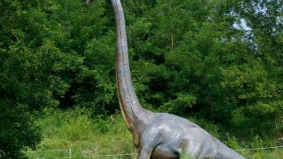 İngiltere'de dinozorların ayak izleri bulundu