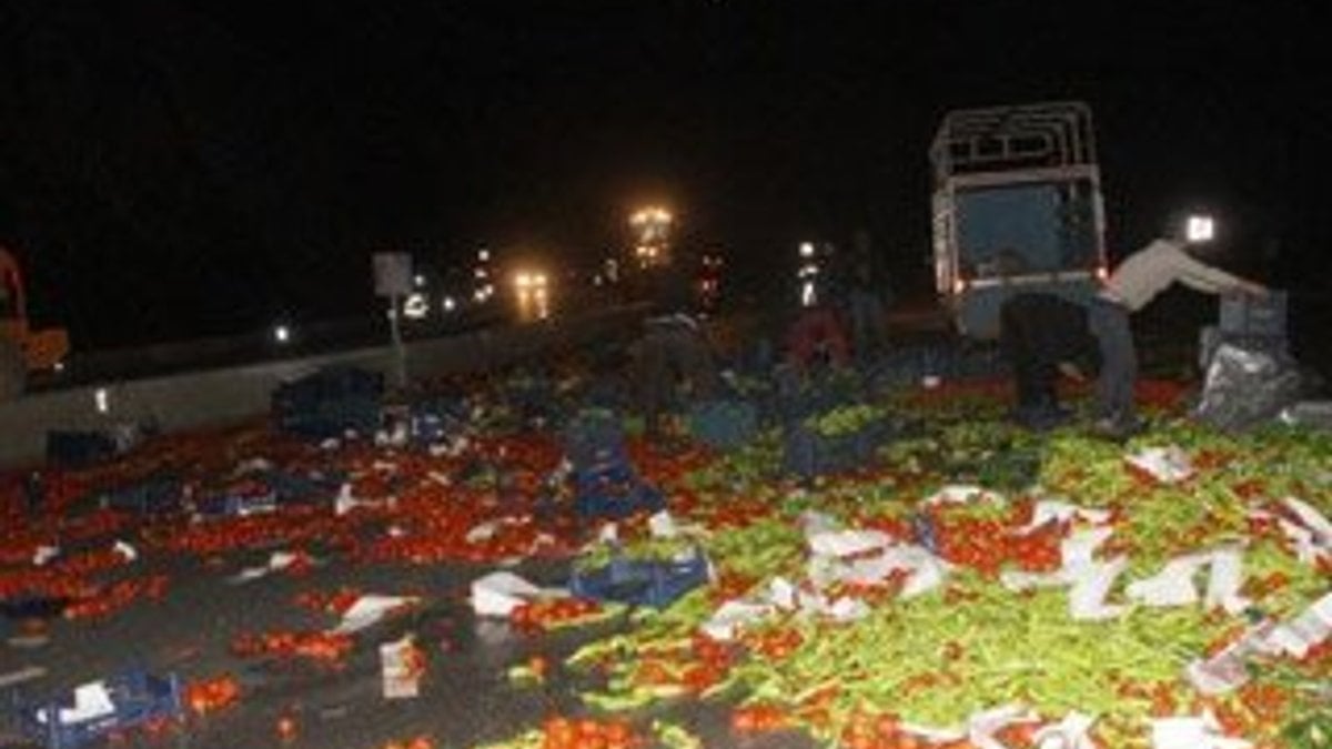Muğla'da tonlarca domates ve sebze yola saçıldı
