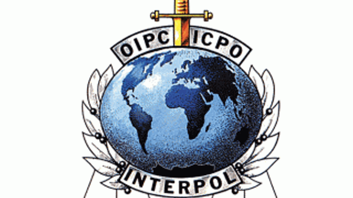 Interpol'den Türkiye'nin teröristlere karşı aldığı önleme övgü
