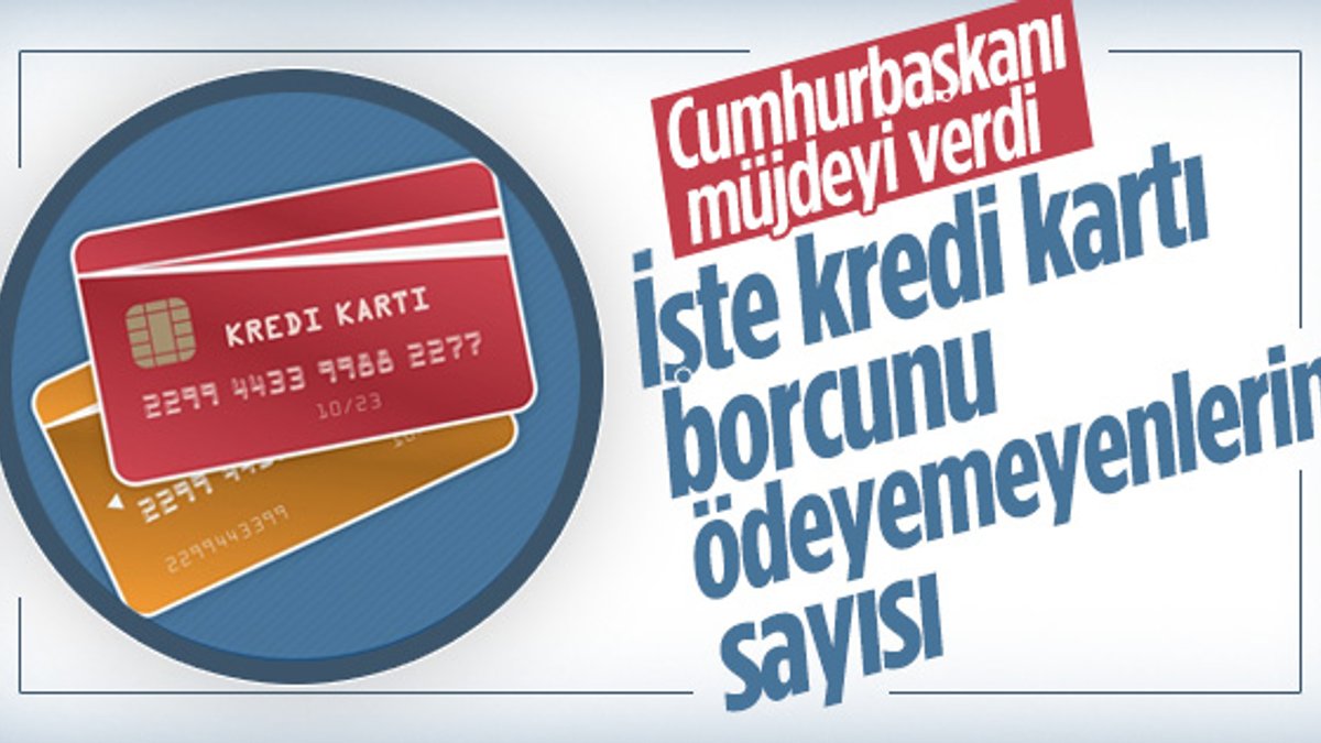 Türkiye'de kredi kartı borcunu ödeyemeyen kişi sayısı