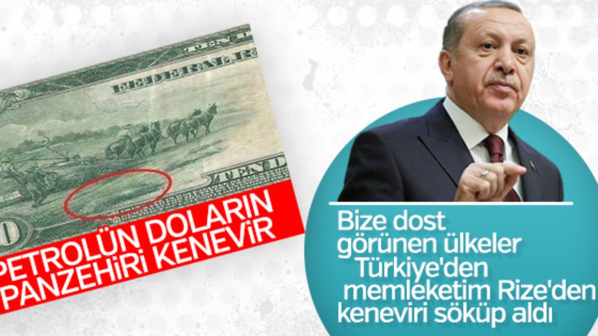 Erdoğan: Ülkemizden keneviri söküp aldılar