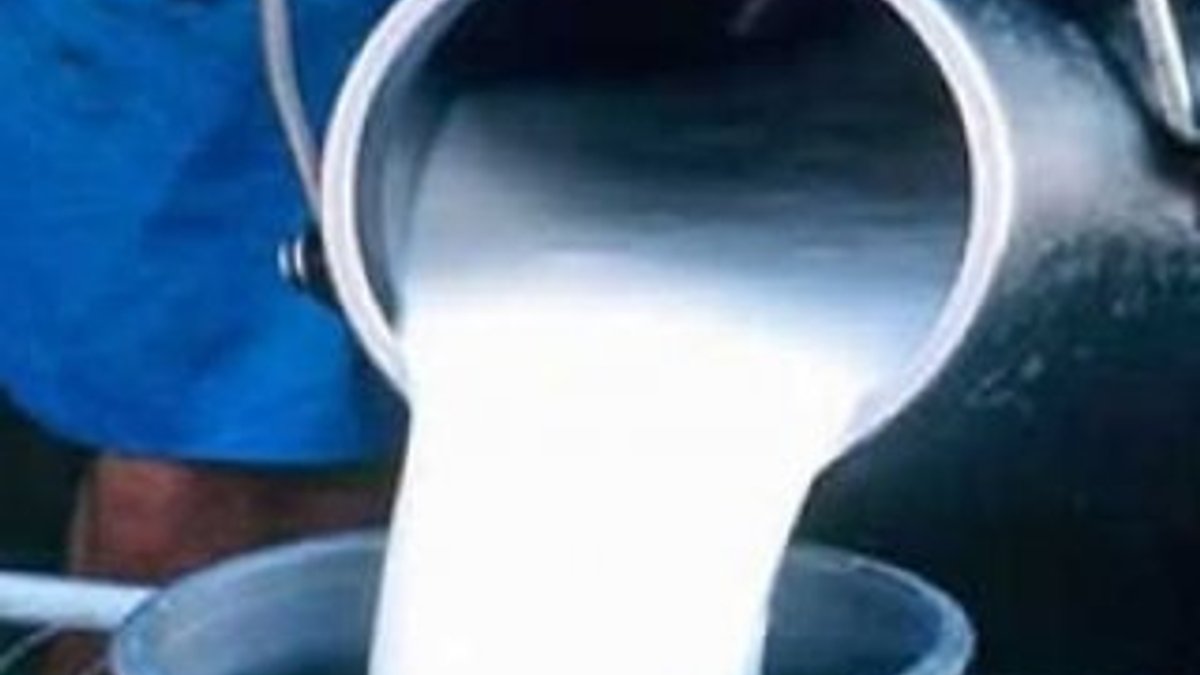 Devlet çiğ süt için üreticilere 255 milyon lira ödeyecek