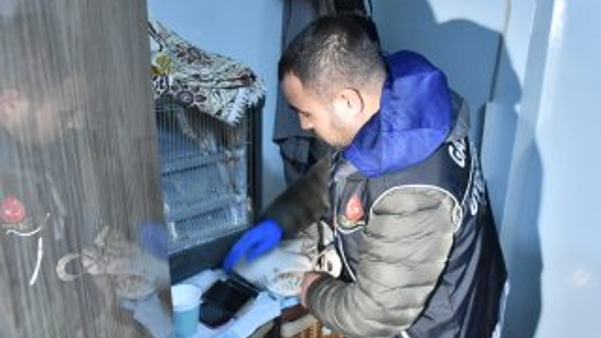 Gaziantep'te torbacılara operasyon: 12 gözaltı