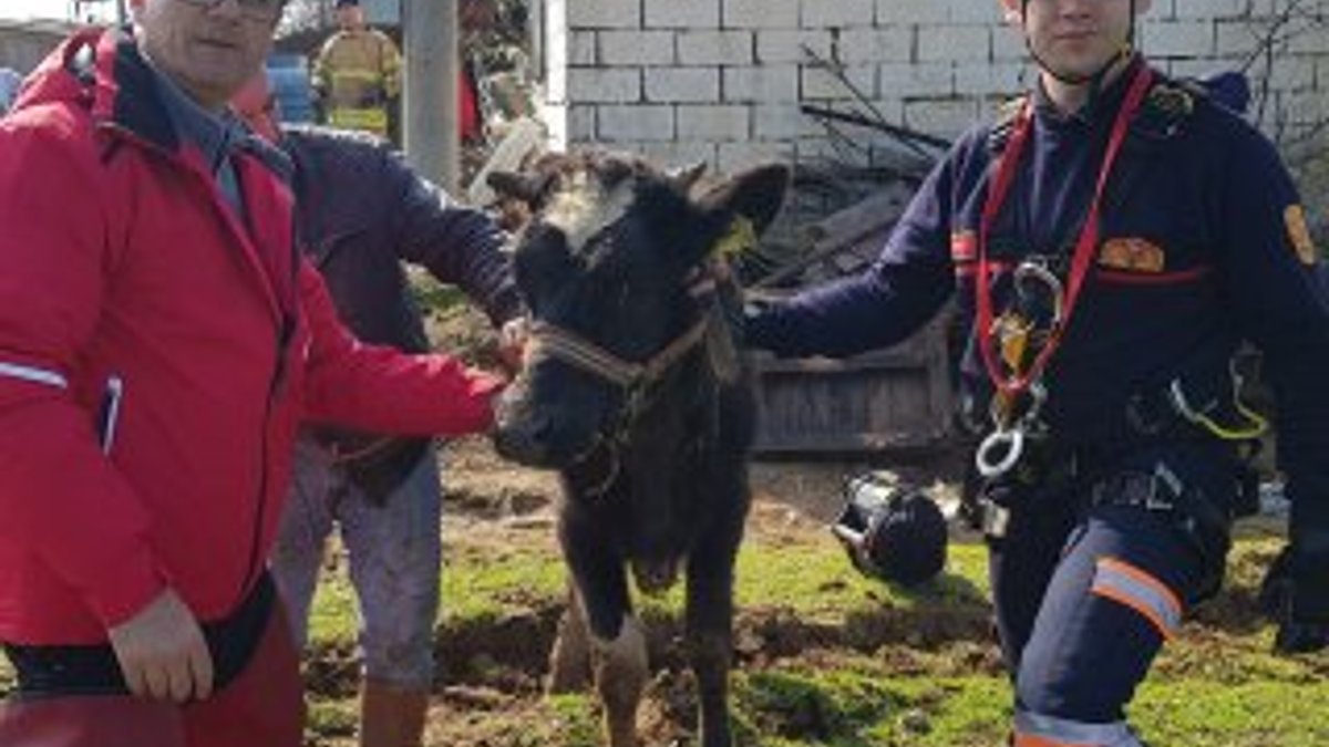 Kuyuda mahsur kalan inek 12 saat sonra kurtarıldı