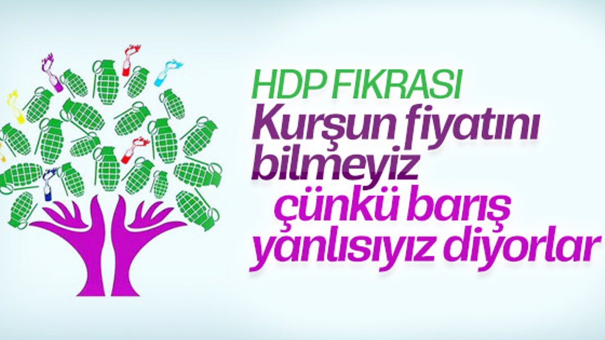 HDP Eş Başkanı Temelli: Biz barış sevdalısıyız