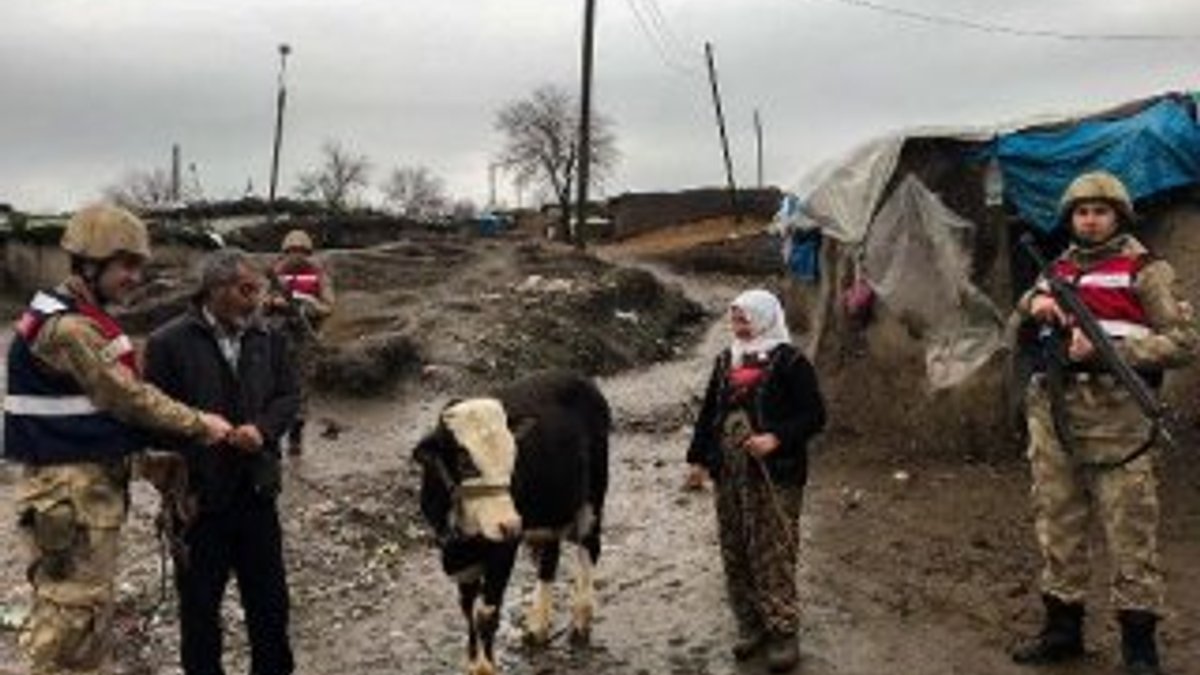 Diyarbakır'da inek hırsızlığına 3 gözaltı