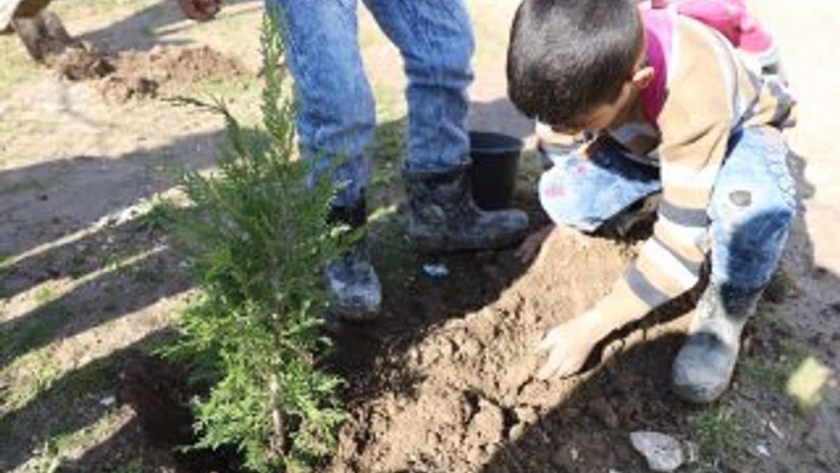 Suriye’de okul çevreleri İHH projesiyle ağaçlandırılıyor