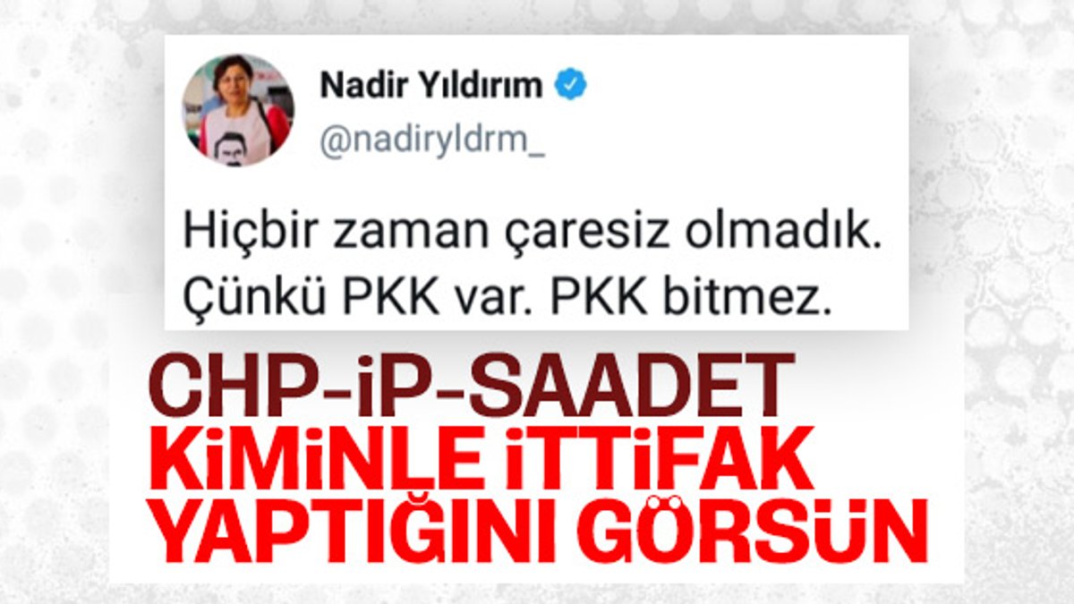 HDP'li vekil PKK ile tehdit etti