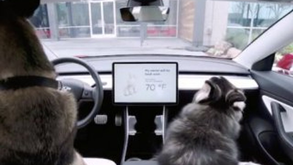 Tesla, otomobillerine köpek modu özelliği getirdi