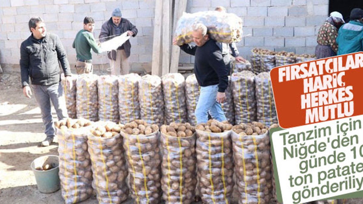 Tanzim satış için günlük 100 ton patates