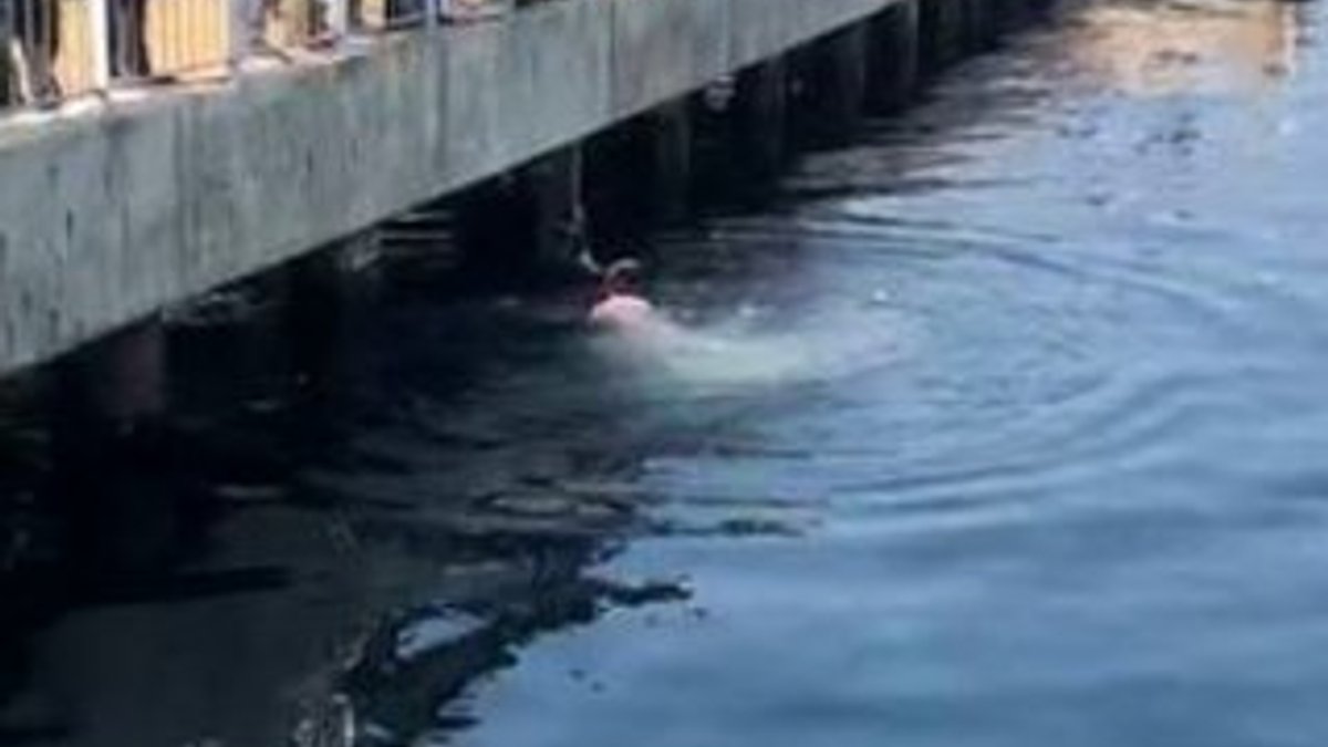 Denize düşen kediyi buz gibi suya girerek kurtardı