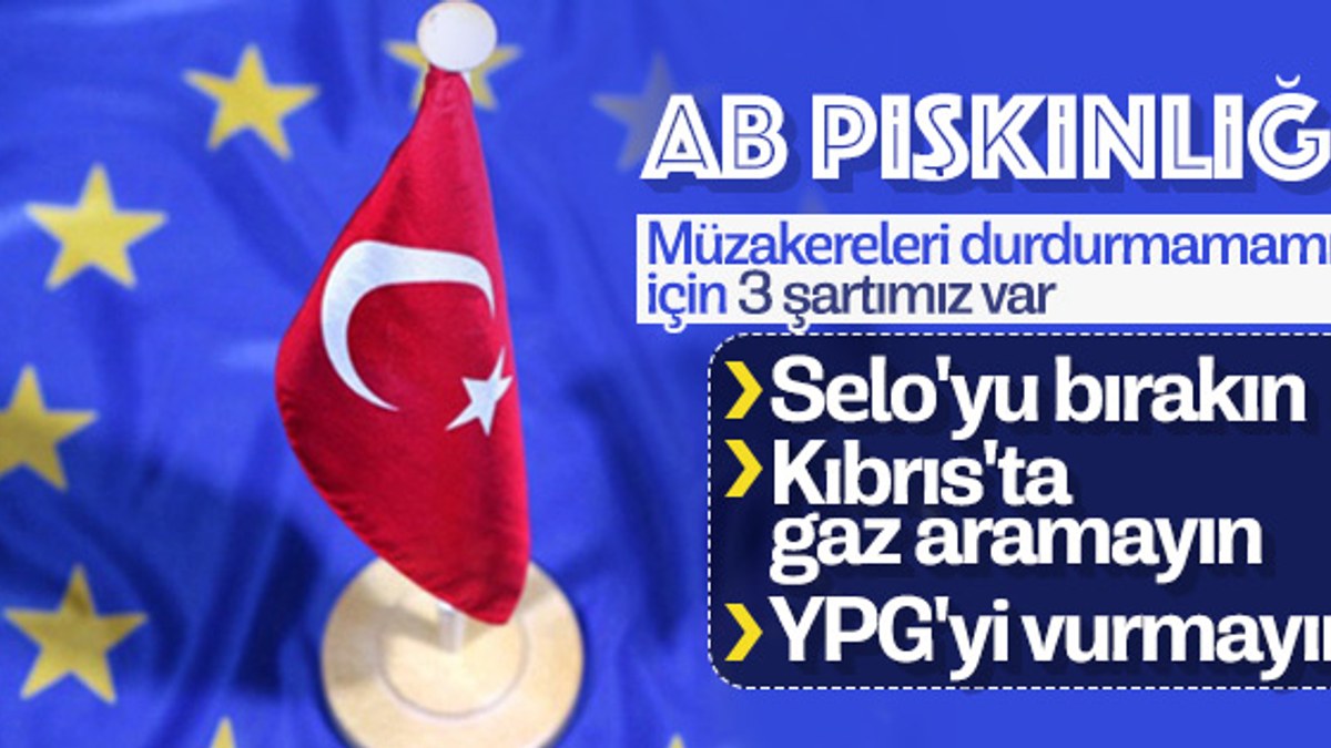 AP'nin Türkiye raporundaki detaylar