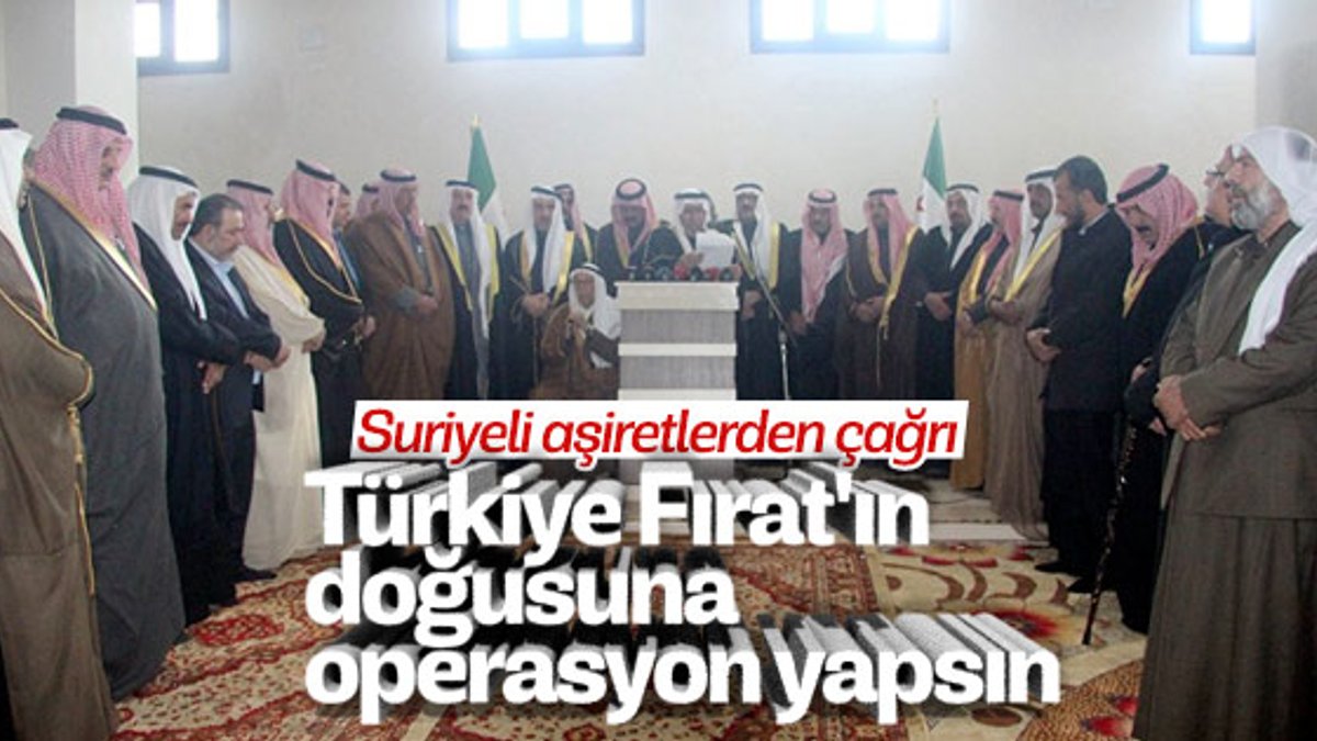 Suriye'deki aşiretlerden Türkiye'ye operasyon çağrısı