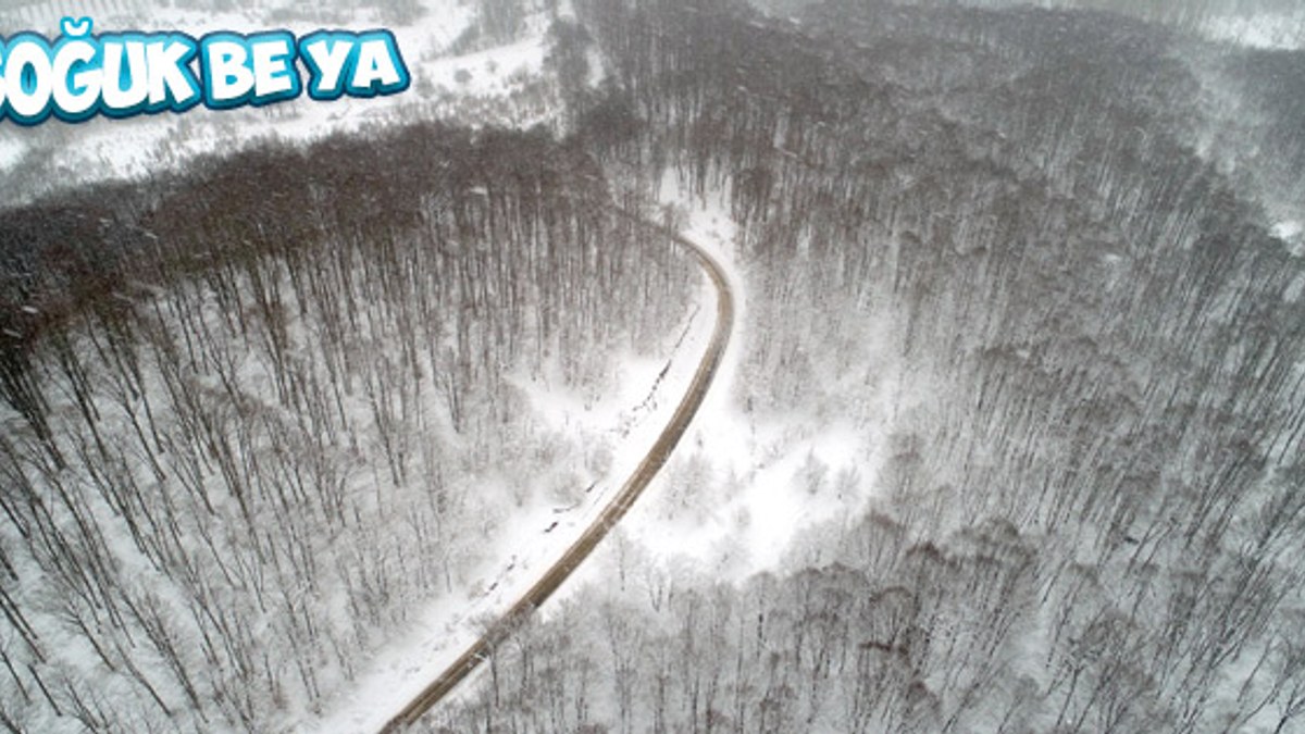 Trakya'dan kar manzaraları