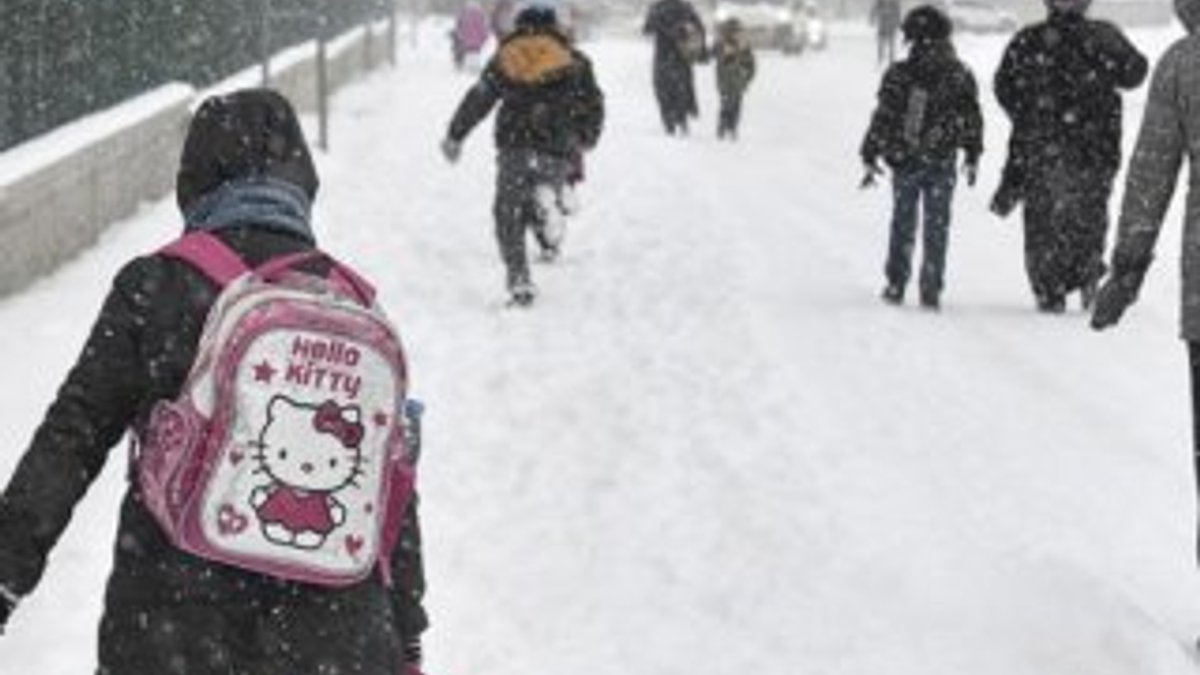 Ağrı ve Elazığ'da okullara kar tatili