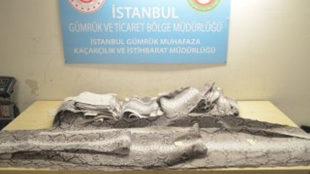 Atatürk Havalimanı'nda 'yılan derisi' operasyonu