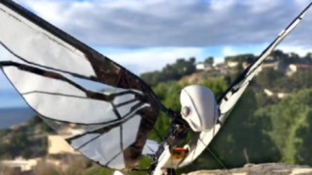 Kuşlardan esinlenilerek kanatlı drone üretildi