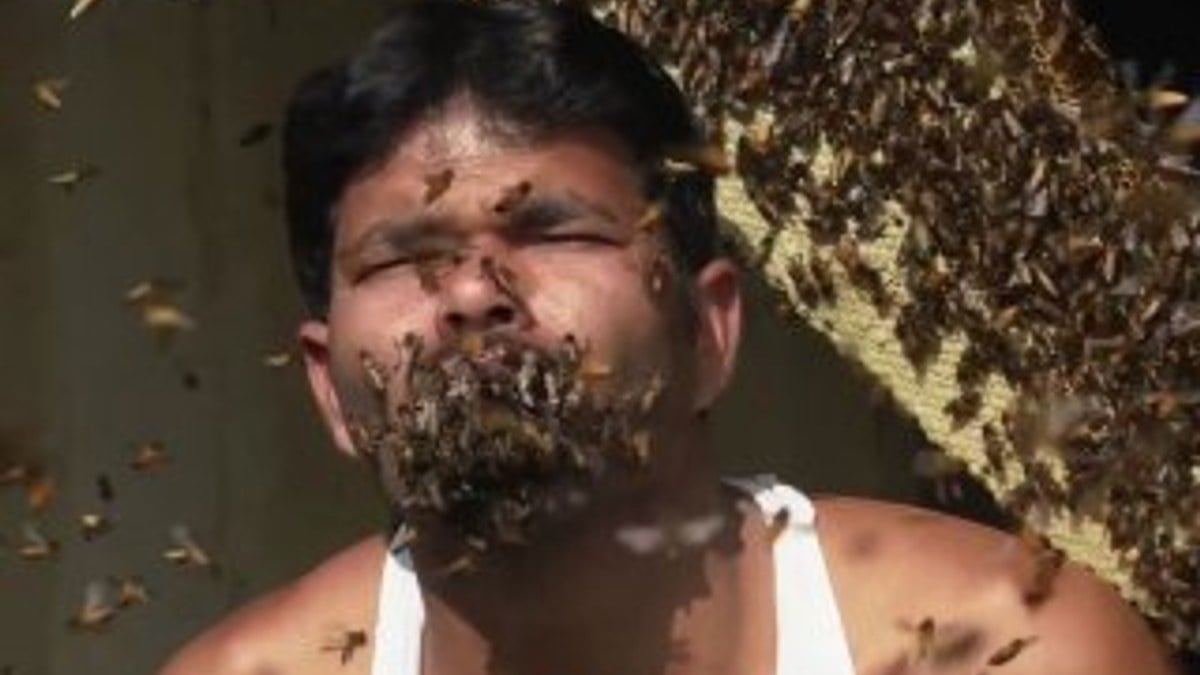 Yüzlerce arıyı ağzına sokan adam