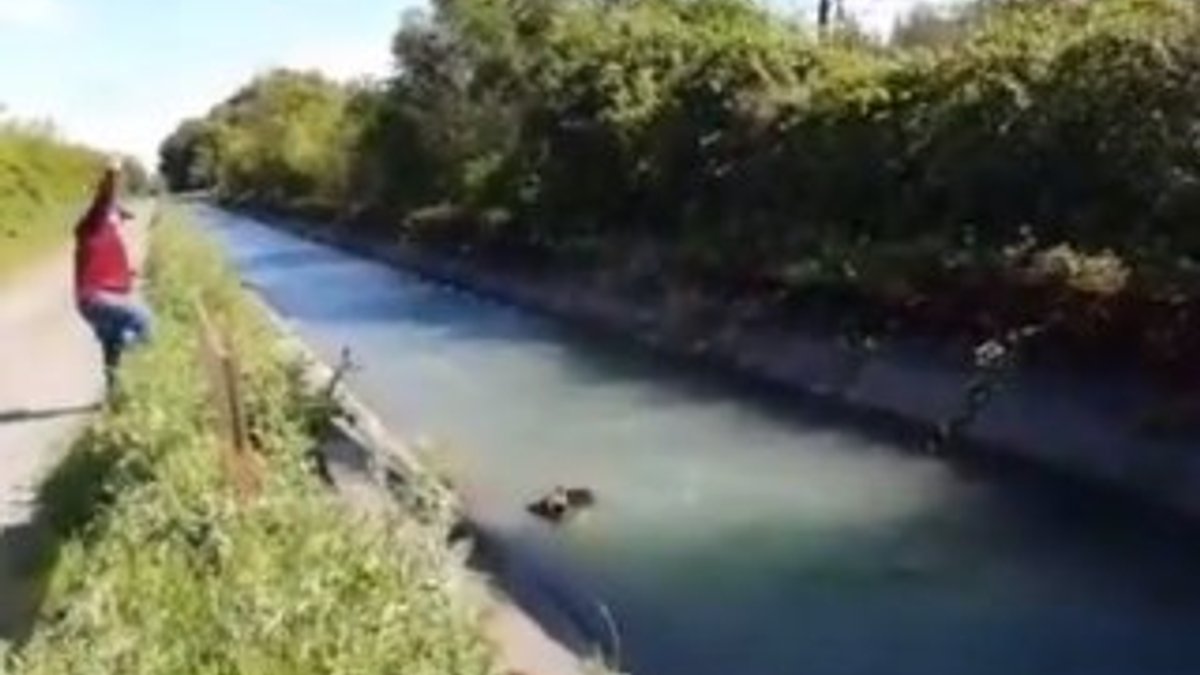 Kanala düşen köpeği ip atarak kurtardı