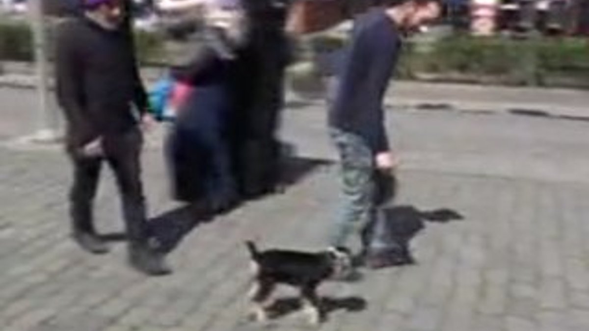 Yavru keçiyle yürüyüş yapan Trabzonlu