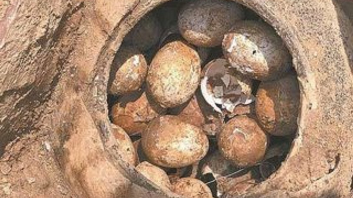 Mezarın içinden 2 bin 500 yıllık yumurta çıktı