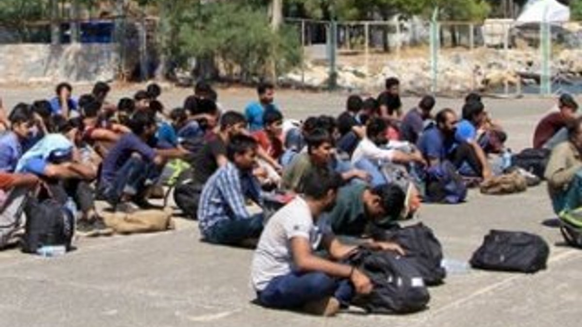 Erzincan’da 215 kaçak göçmen yakalandı