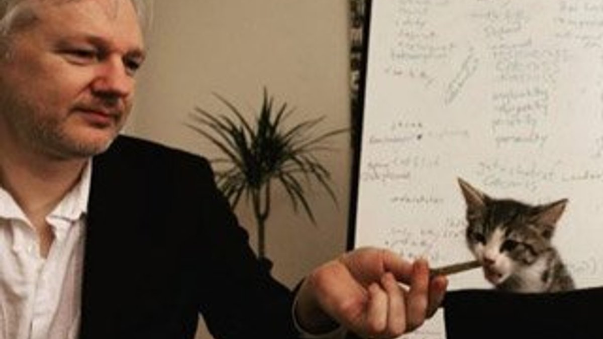 Assange’ın avukatı: Kedi James kurtarıldı