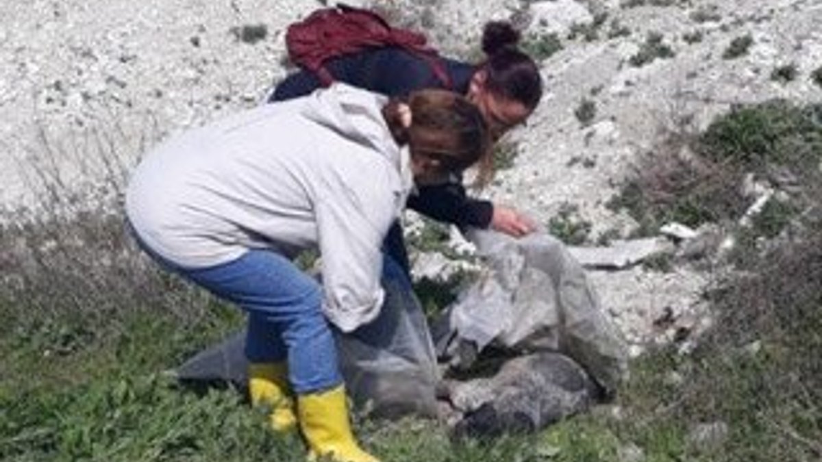 Burdur'da gömülen 15 köpek ve 1 kedi için belediyeye ceza