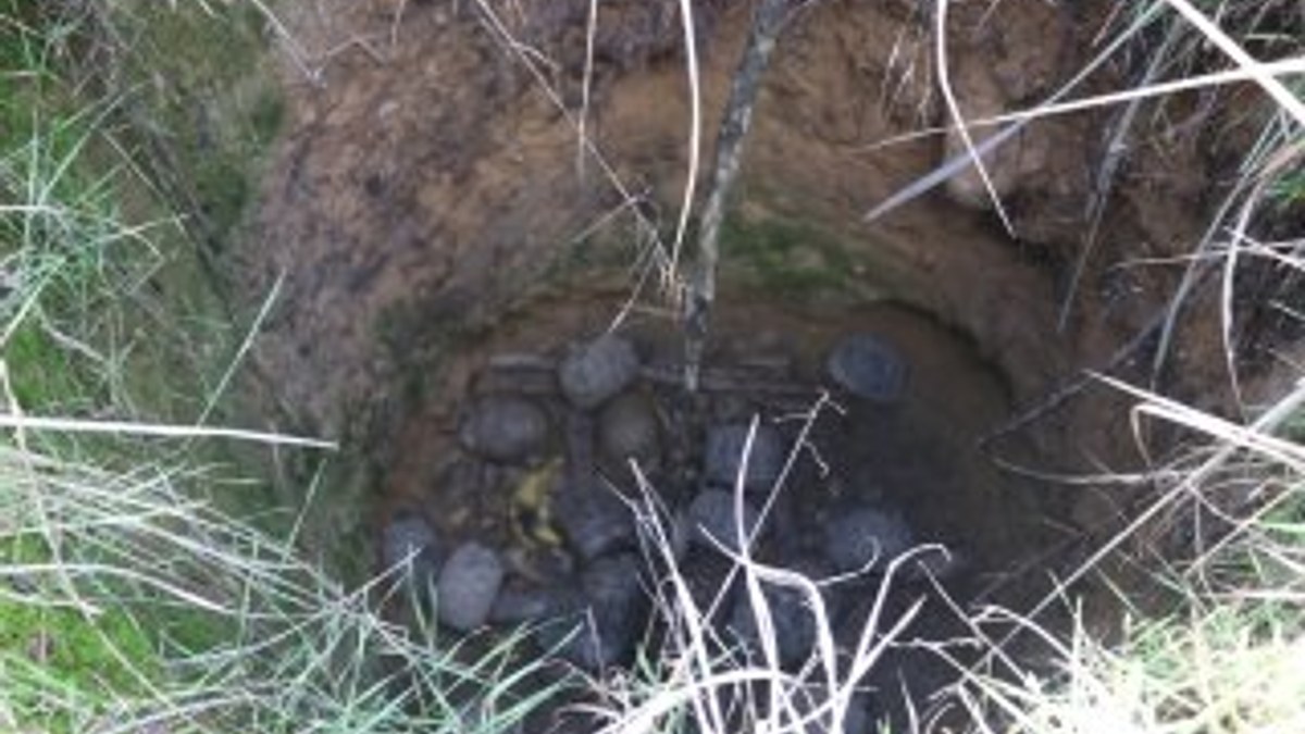 Kuyuda mahsur kalan kaplumbağaları itfaiye kurtardı