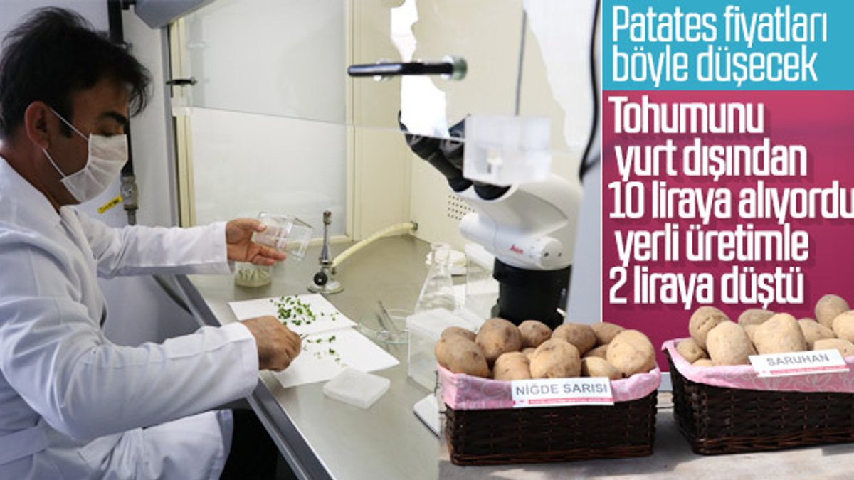 İki patates çeşidi daha Türk tarımına kazandırıldı