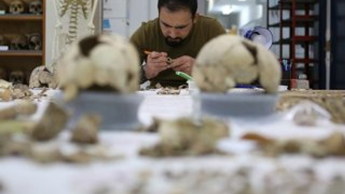 Anadolu'nun 15 bin yıllık DNA hazinesi bulunacak