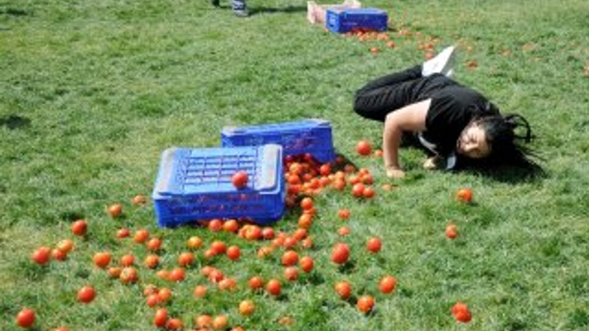 Antalya'da kadınlar arası domates yarışması