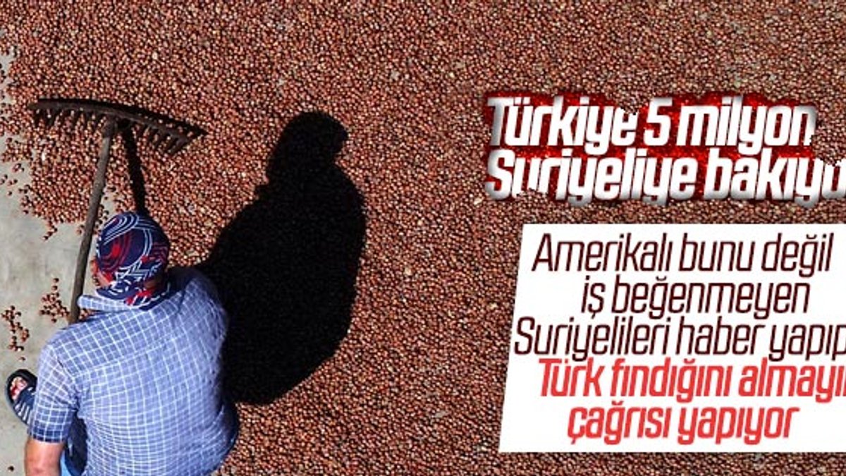 New York Times: Türkiye’den fındık almayın