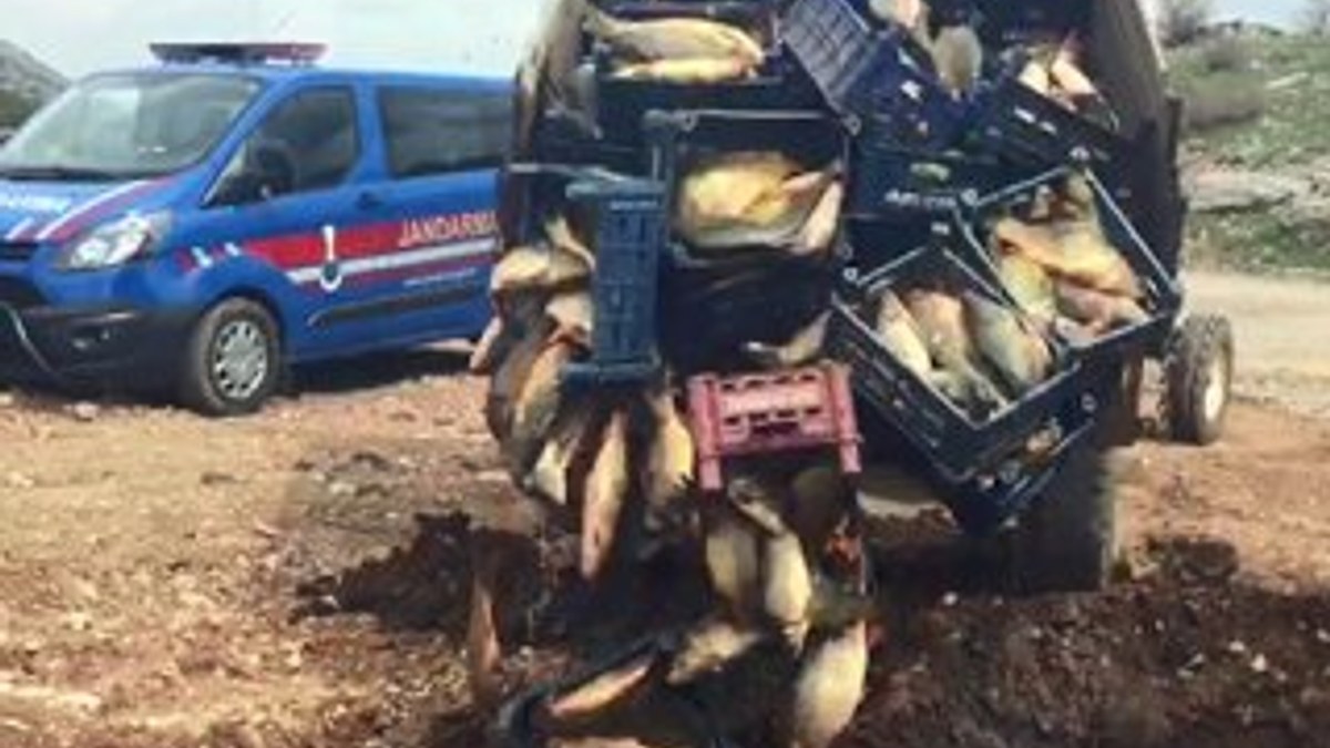 Kahramanmaraş'ta 1 ton 200 kilo balık imha edildi