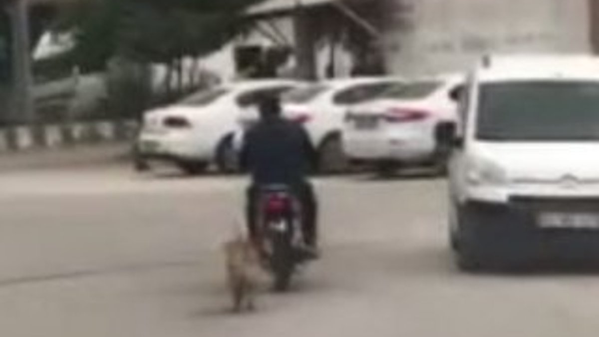 Motosiklete bağladığı köpeği ardından koşturdu