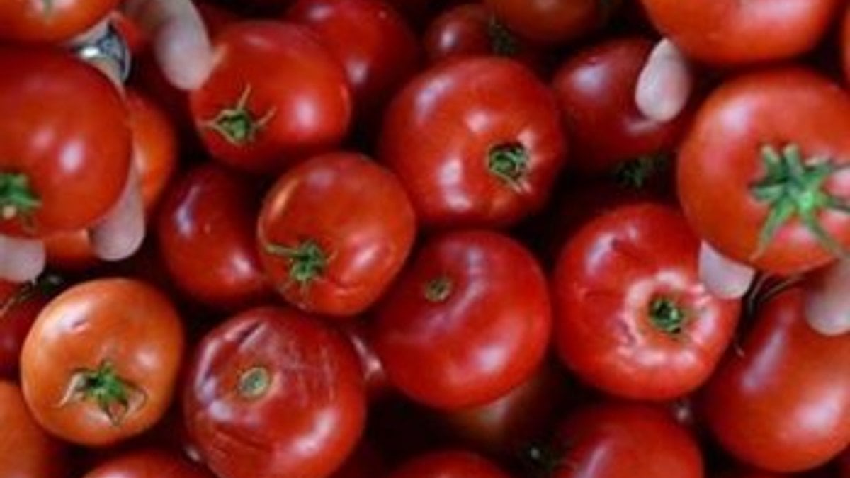 Ukrayna domatesleri Türkiye'ye geri gönderdi