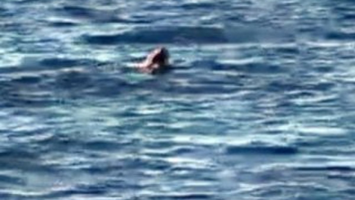 Yüzerek Kos Adası'na geçmeye çalışırken yakaladılar