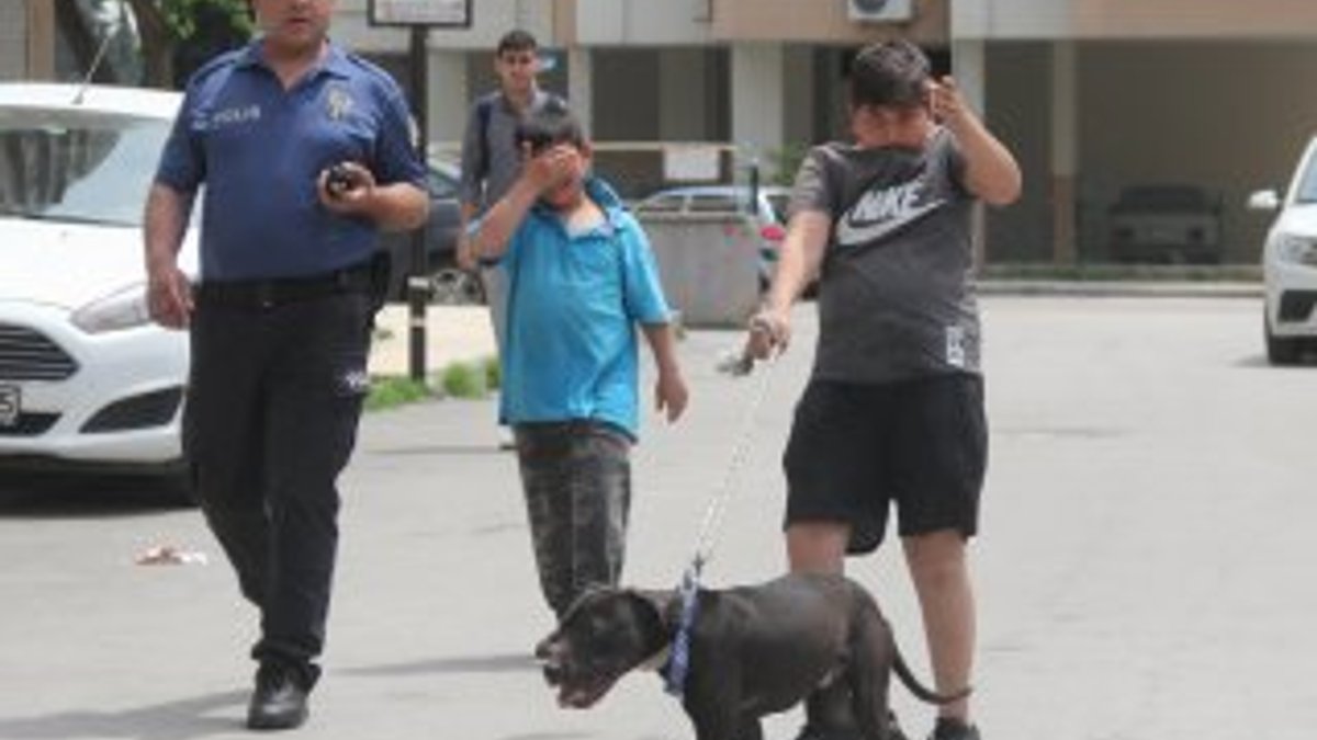 Köpeği gasbedilen çocuk polisten yardım istedi