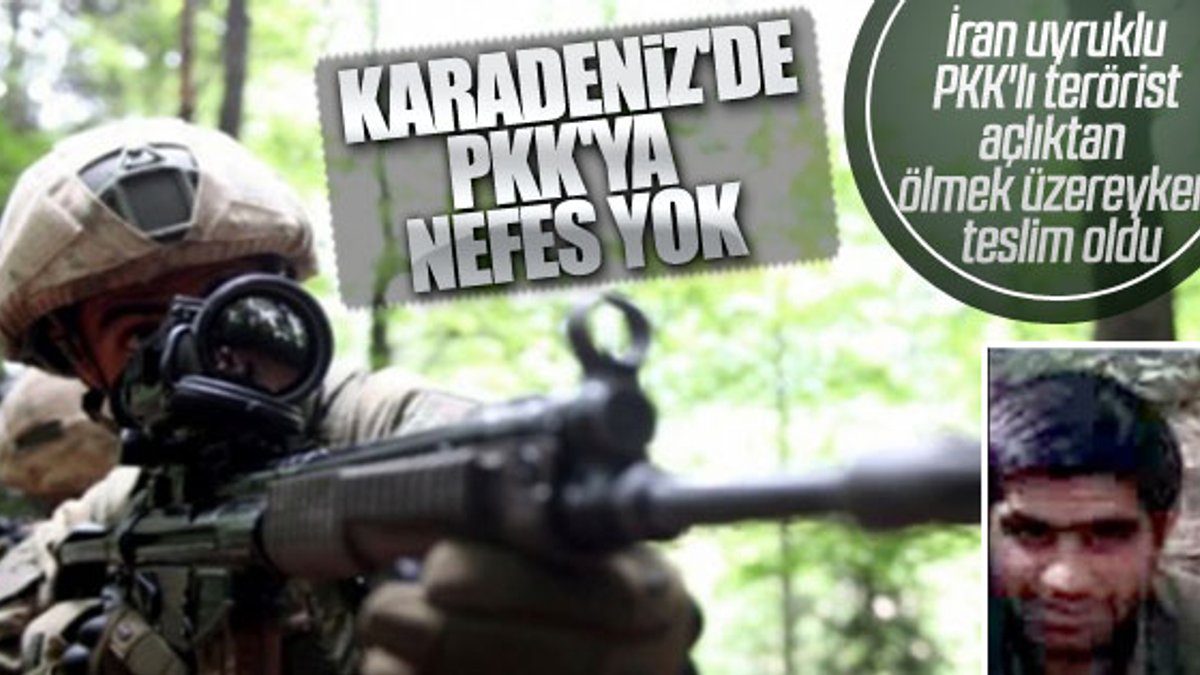 PKK'lı terörist açlığa dayanamadı