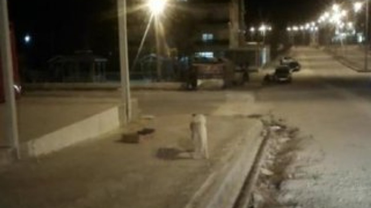 Mardin'de köpeklerin saldırısına uğrayan çocuklar