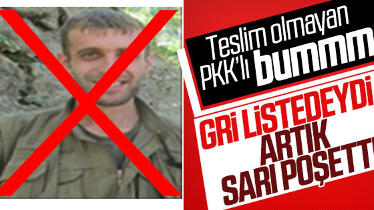 Elazığ'da gri listedeki PKK'lı etkisiz hale getirildi
