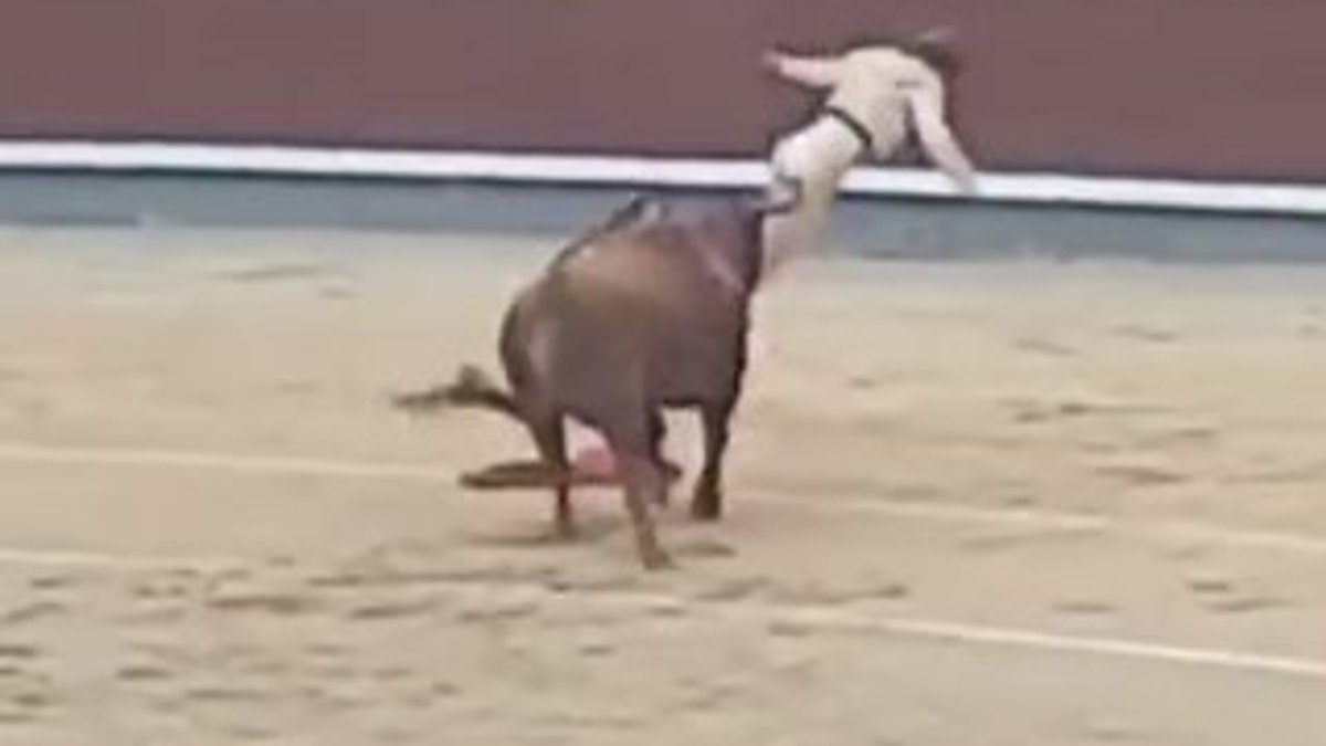 Boğayla oynayan matadorun zor anları