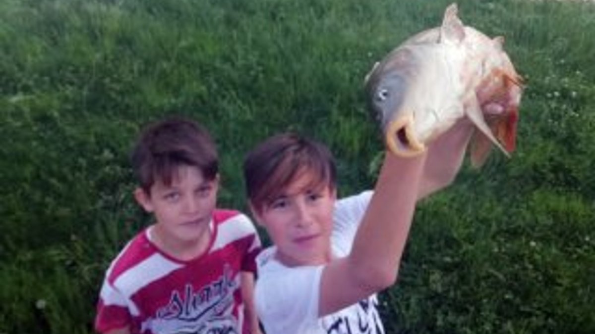 Elleriyle balık yakalayan Kastamonulu çocuklar